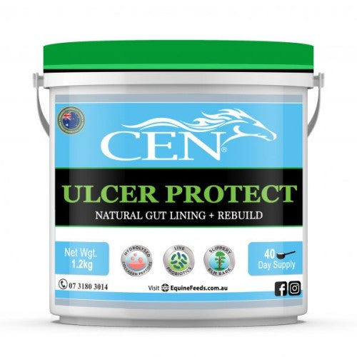 CEN ULCER PROTECT