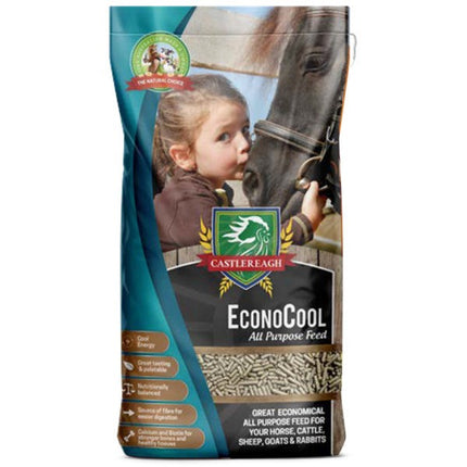 CASTLEREAGH ECONO COOL 20KG