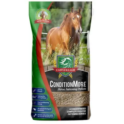 CASTLEREAGH CONDITION MORE ( HORSE FATTENER )