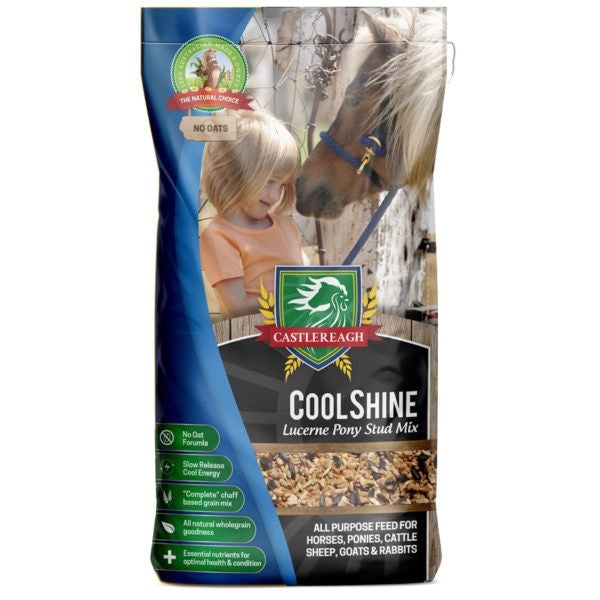 CASTLEREAGH COOL SHINE (NON HEATING PONY STUDMIX)