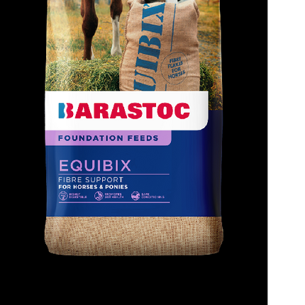 BARRASTOC EQUIBIX 20KG