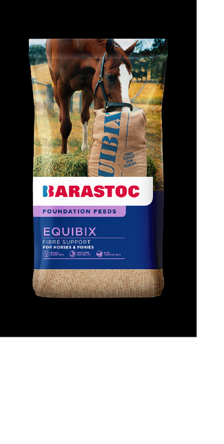 BARRASTOC EQUIBIX 20KG