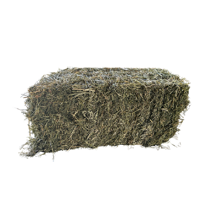 LUCERNE HAY PRIME
