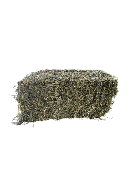 LUCERNE HAY PRIME