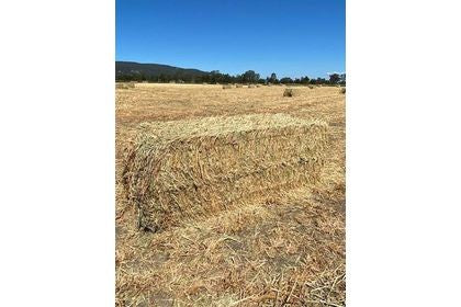 OATEN HAY BIG BALES 8 X 4