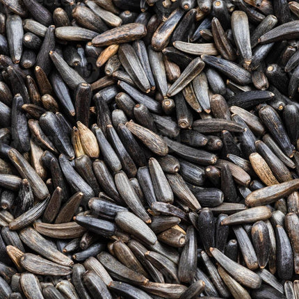 NIGER SEED 3KG