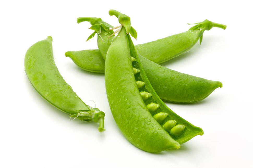 SUGAR SNAPS