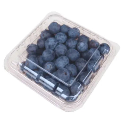 BLUEBERRIES
