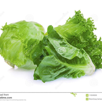 ICEBERG 