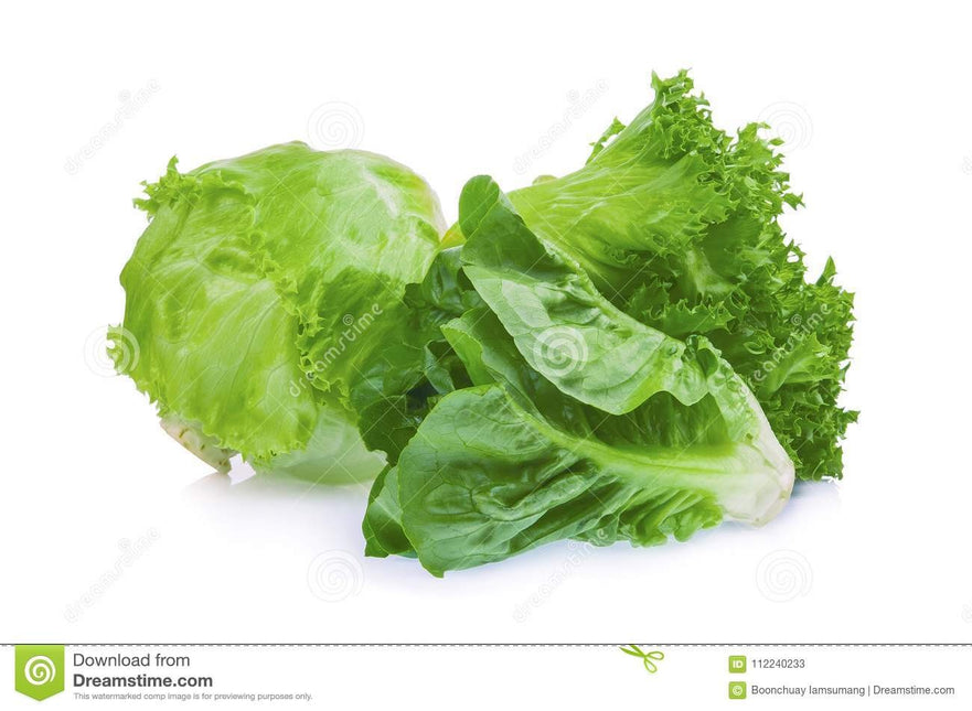 ICEBERG 