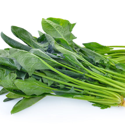 ENGLISH SPINACH