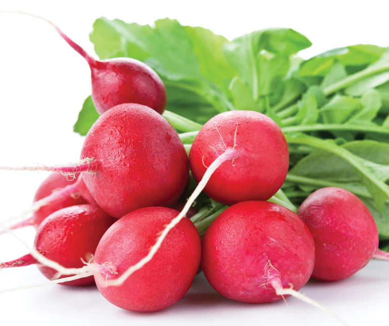 RADISH