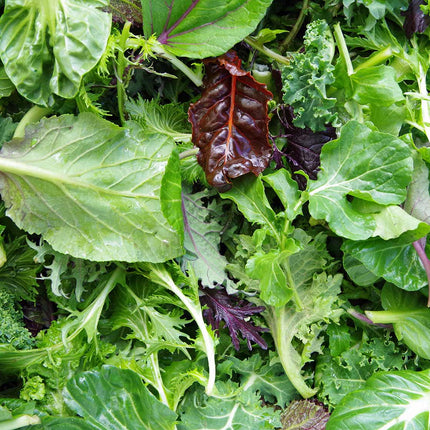 SALAD LEAVES 120G