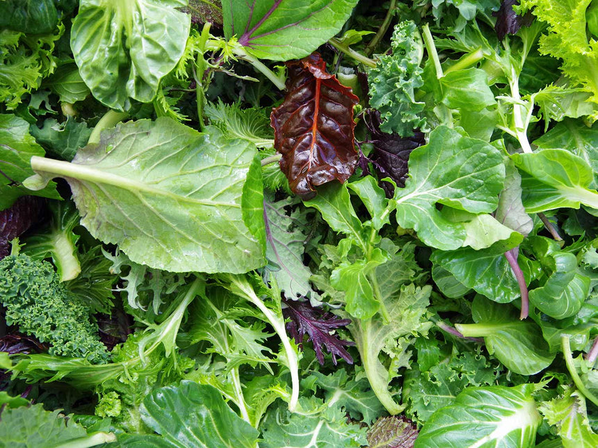 SALAD LEAVES 120G