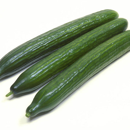 TELEGRAPH CUCUMBER