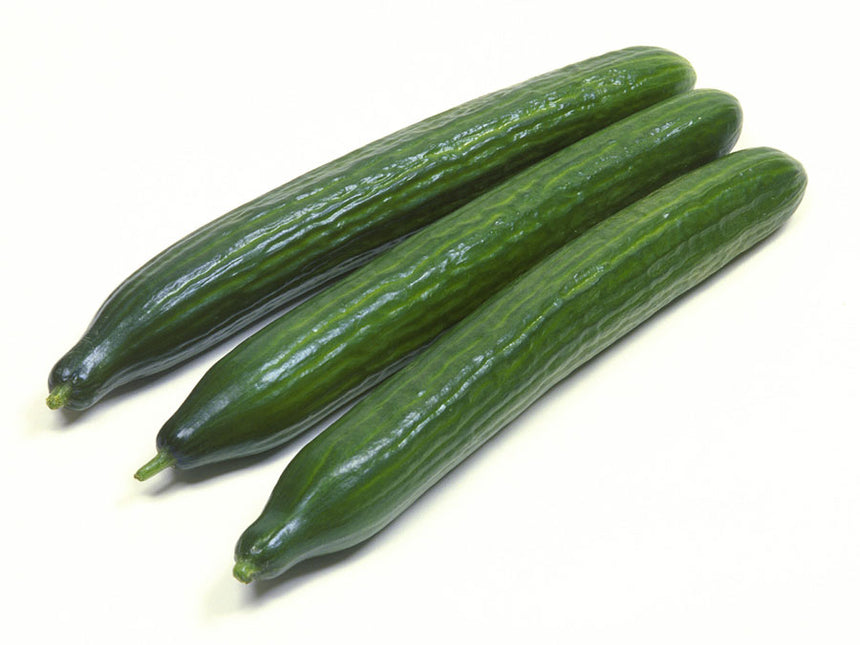 TELEGRAPH CUCUMBER