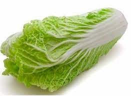 CHINESE CABBAGE