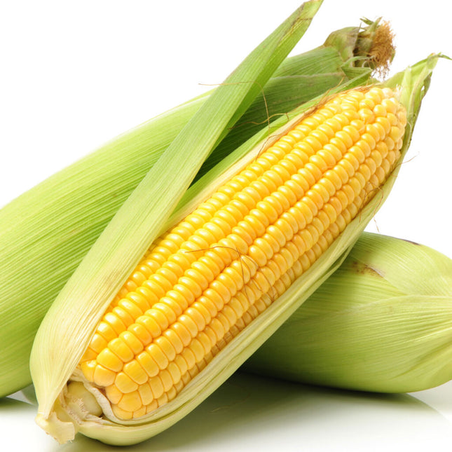 CORN