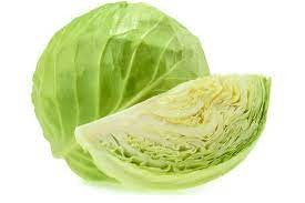 CABBAGE