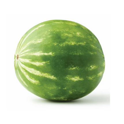 WATERMELON KG