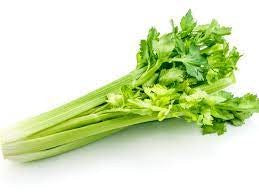 CELERY