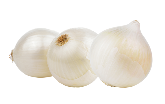WHITE ONIONS