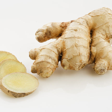 GINGER