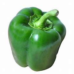 GREEN CAPSICUM