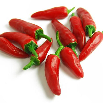BULLET CHILLI