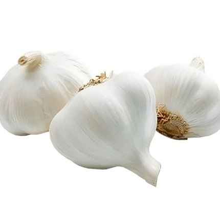 SMALL WHITE GARLIC