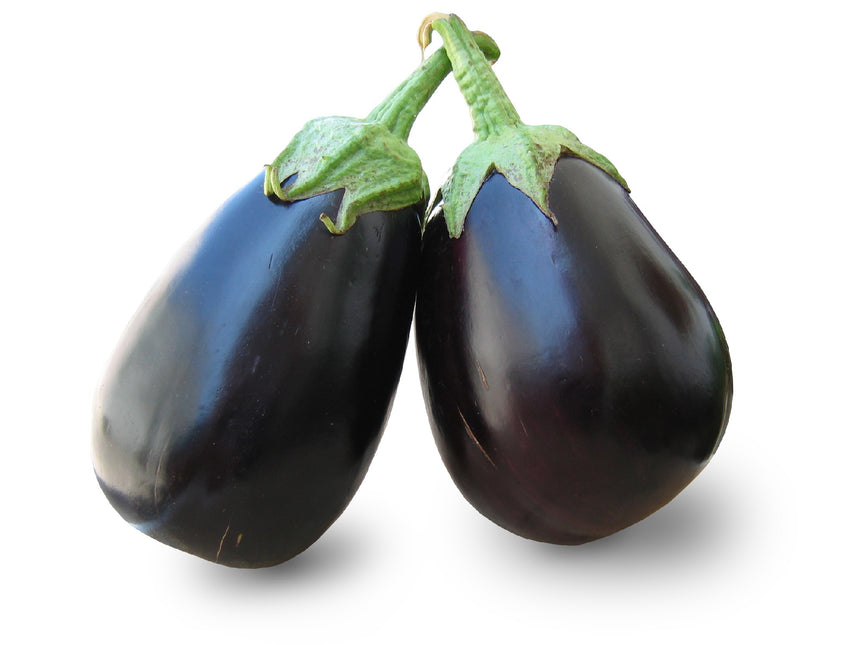 EGGPLANT