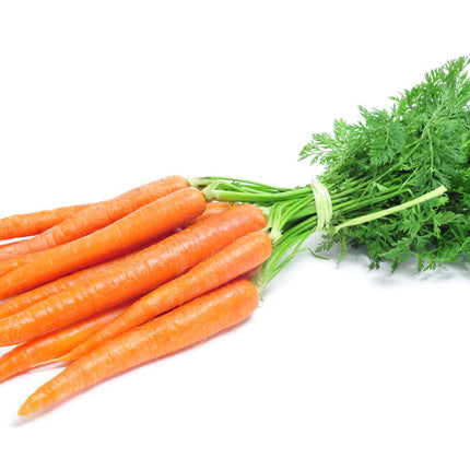 DUTCH CARROTS