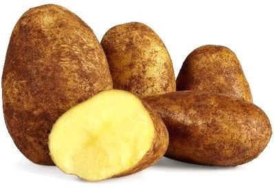 DUTCH CREAM POTATOES