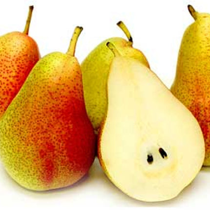 CORELLA PEARS