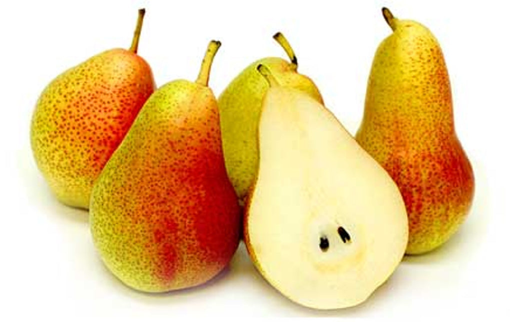 CORELLA PEARS