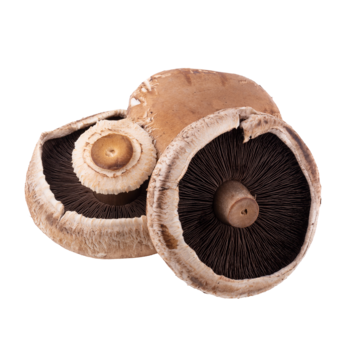 FLAT MUSHROOMS