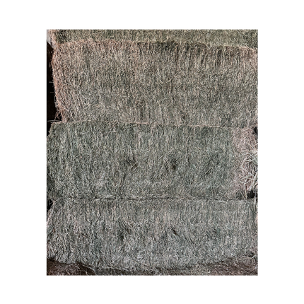 LUCERNE BIG BALE 8 X 4