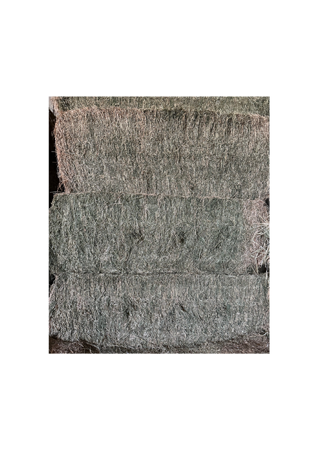 LUCERNE BIG BALE 8 X 4