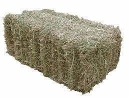 LUCERNE HAY GOOD 2ND GRD 