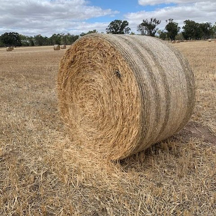 OATEN ROUND BALE 4FT