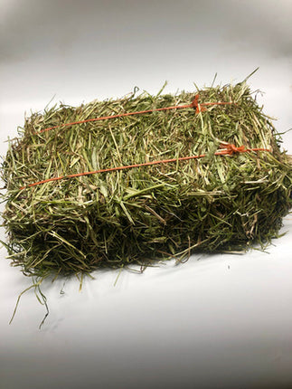 RYE HAY 