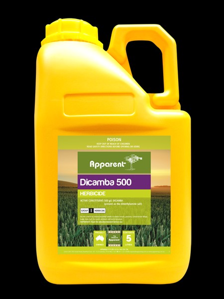 APPARENT DICAMBA 5LTRS