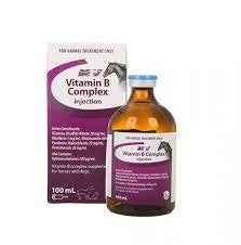 NATURE VET VITAMIN B COMPLEX INJECTION 100ML