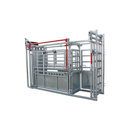 STANDARD CATTLE CRUSH 