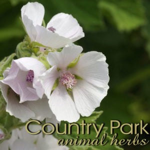 COUNTRY PARK MARSHMALLOW ROOT POWDER 1KG 