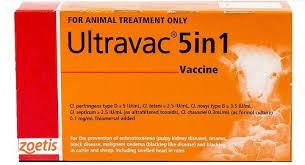 ZOETIS ULTRAVAC 5 IN 1 250ML 