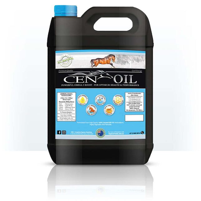 CEN OIL 20LT 