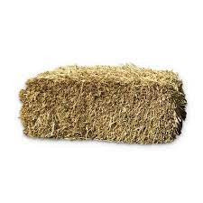 OATEN PRIME