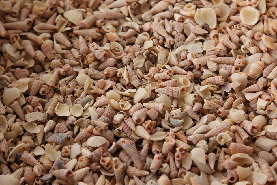 MCMAHON SHELL GRIT COURSE 20KG