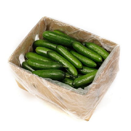 LEBANESE CUCUMBER BOX